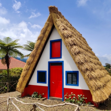 Fig trees, traditions, and botanical garden